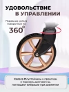 Коляска-трансформер Farfello Aimile Original New Gold 2 в 1 шоколадный