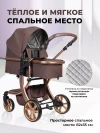 Коляска-трансформер Farfello Aimile Original New Gold 2 в 1 шоколадный