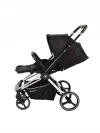 Коляска прогулочная Labala Raiz хром Black (02BLA)