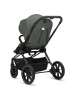 Коляска прогулочная Labala Raiz Green forest ч/р