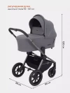 Коляска 2 в 1 Rant Flex Pro RA074 Grey 