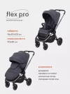 Коляска прогулочная Rant Flex Pro RA099 Graphite 