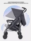 Коляска прогулочная Rant Basic Tango RA351 Graphite