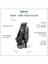 Коляска прогулочная Inglesina Now Snap grey