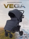 Коляска прогулочная Rant Vega RA105 2024 Graphite