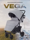 Коляска прогулочная Rant Vega RA105 2024 grey
