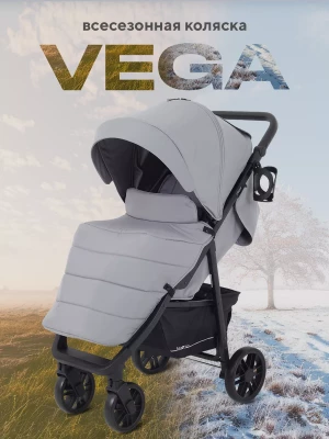 Коляска прогулочная Rant Vega RA105 2024 grey - фото 1