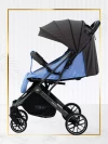 Коляска прогулочная Palankin Teo синий