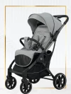 Коляска прогулочная Luxmom T2 серый