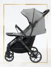Коляска прогулочная Luxmom T2 серый