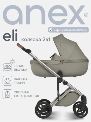 Коляска 2 в 1 Anex Eli (el-02) Excite