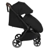 Коляска прогулочная Pituso Matrix PU Black