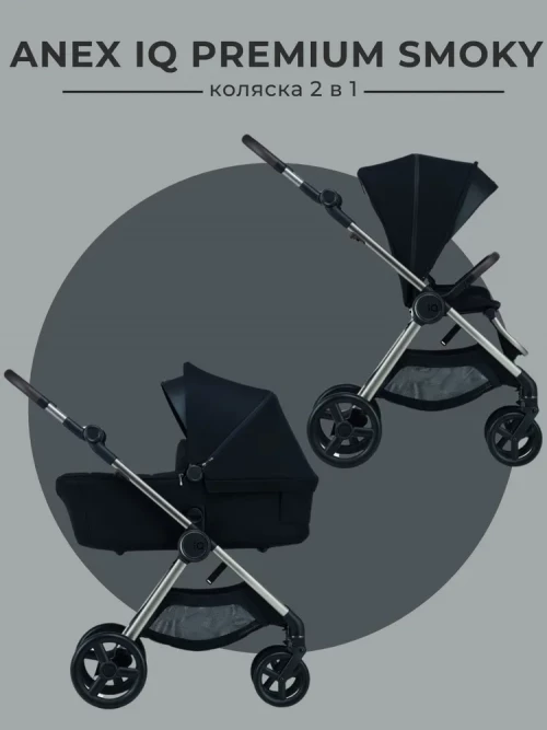 Коляска 2 в 1 Anex iQ Premium (iQ-06-NT) Smoky - фото 1