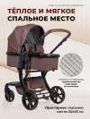 Коляска-трансформер Farfello Aimile Original Autumn 2 в 1 Chocolate