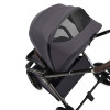 Коляска 2 в 1 Labala Raiz 2025 Anthrazit (14ATH) 