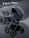 Коляска 2 в 1 Rant Teo RA122 Graphite