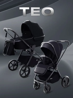 Коляска 2 в 1 Rant Teo RA120 Black - фото 1