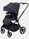 Коляска прогулочная Rant Moss RA323 Graphite
