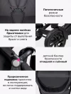 Коляска для двойни Farfello Silva Duo Black