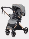 Коляска прогулочная Rant Basic Vortex RA304 Grey