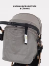 Коляска прогулочная Rant Basic Vortex RA304 Beige