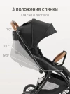Коляска прогулочная Happy Baby Lynn black & flora