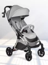 Коляска прогулочная Farfello Sunrise Silver Grey