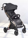 Коляска прогулочная Farfello Sunrise Golden Black