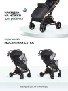 Коляска прогулочная Farfello Sunrise Golden Black