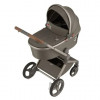 Коляска 2 в 1 Anex Flo (SE-01) Cesar