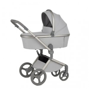 Коляска 2 в 1 Anex Flo (fl-06F) Frossy - фото 1