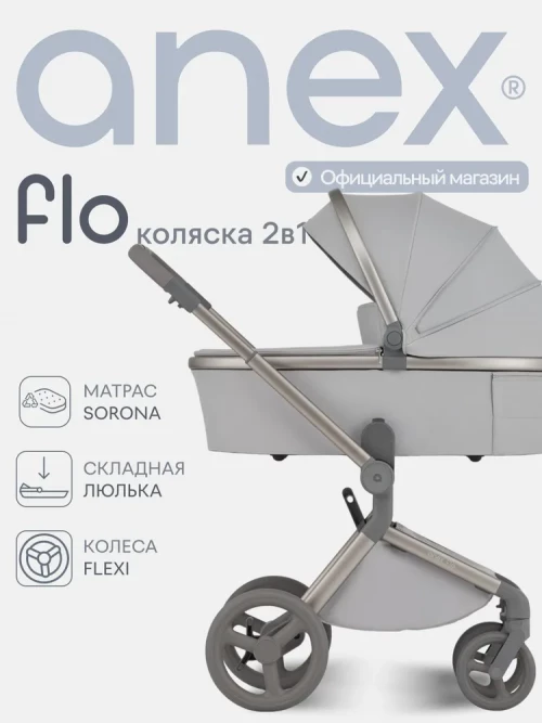 Коляска 2 в 1 Anex Flo (fl-06F) Frossy - фото 1