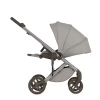 Коляска 2 в 1 Anex Eli (el-09) Granti