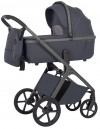 Коляска 2 в 1 Carrello Vector CRL-6550 Plum Grey